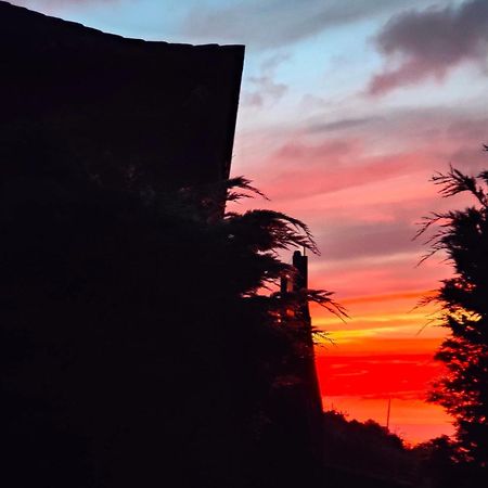 Casa Rural Quinta Los Naranjos Tigalate エクステリア 写真