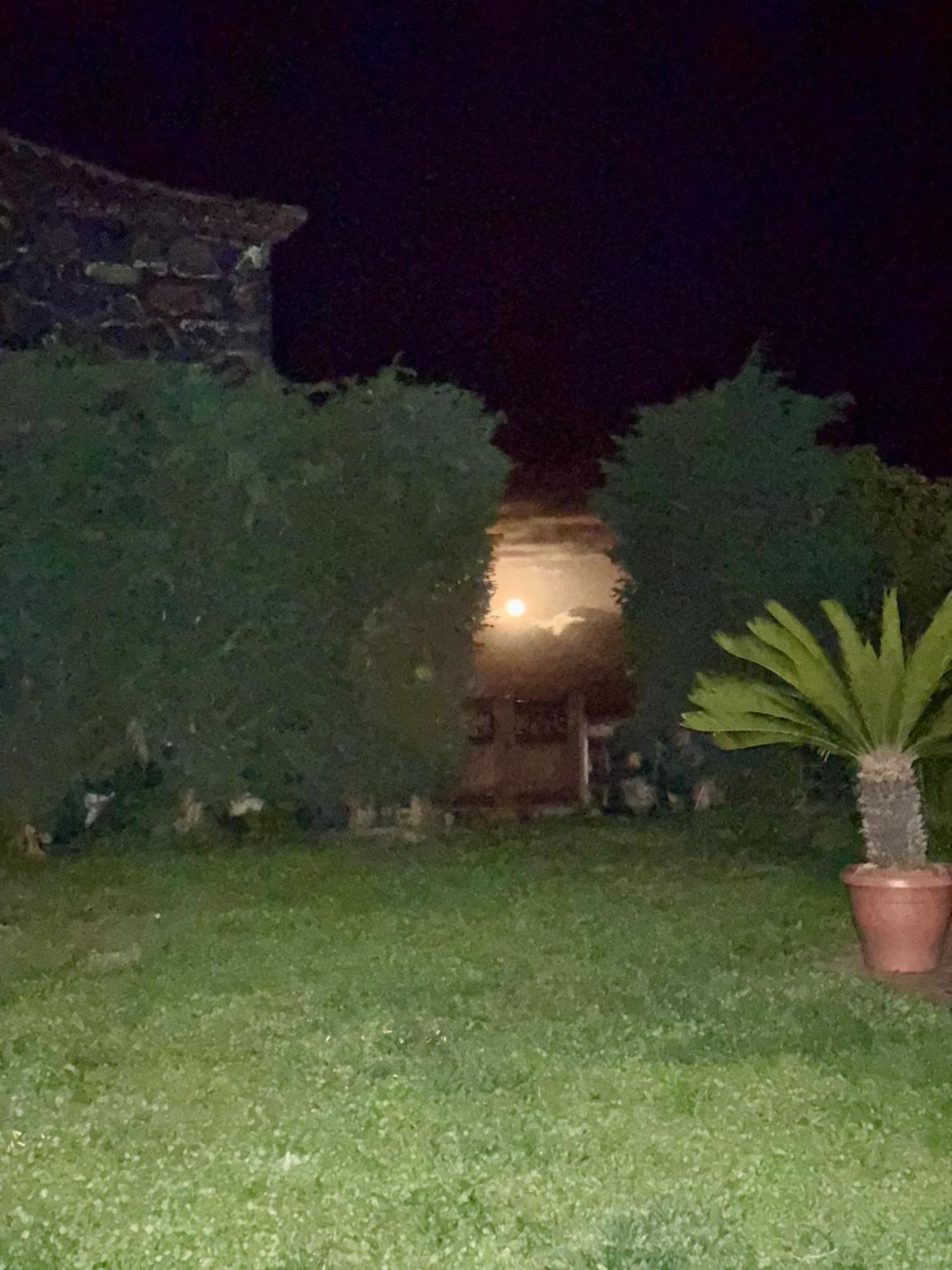 Casa Rural Quinta Los Naranjos Tigalate エクステリア 写真