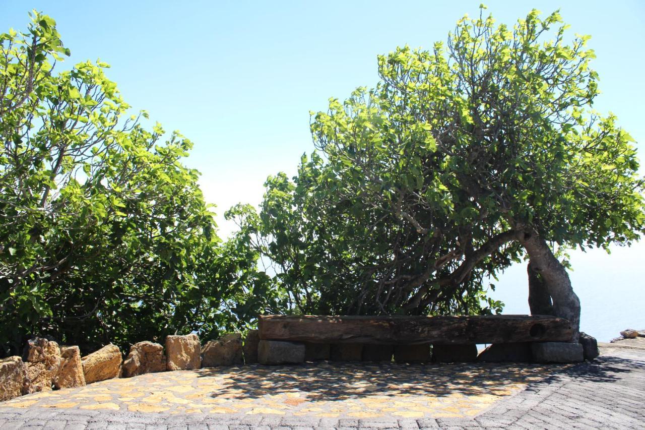 Casa Rural Quinta Los Naranjos Tigalate エクステリア 写真